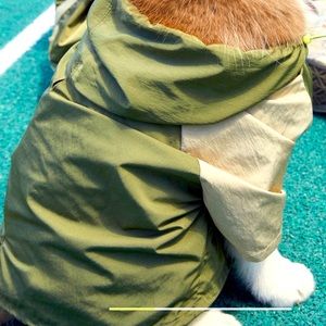 Dog raincoat small from Offleash Aerie